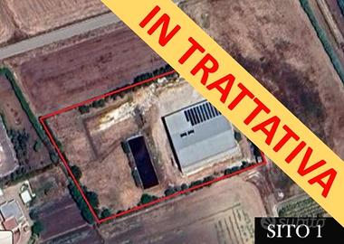 IN TRATTATIVA - Maialificio e Azienda Agricola