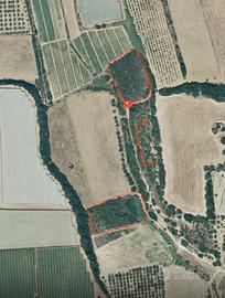 Terreno località cave fantiano