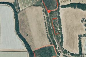 Terreno località cave fantiano