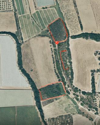 Terreno località cave fantiano