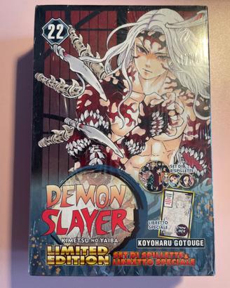 Demon slayer 22 Limited Edition