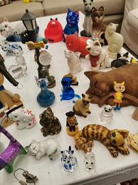 Splendida collezione di gattini 80 pezzi