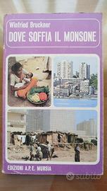 Dove soffia il monsone - Winfried Bruckner