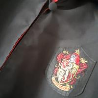 Harry Potter per carnevale