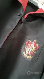 Harry Potter per carnevale