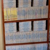 Collezione completa Zagor