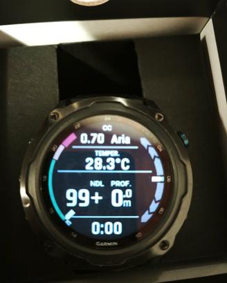 Garmin descent mk2i