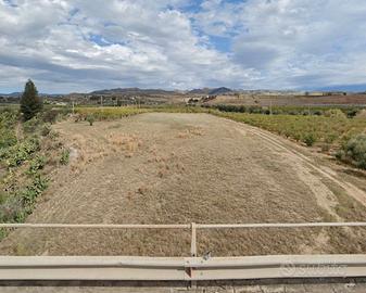 RGE 36/2023 Trib ENNA - LOTTO 5