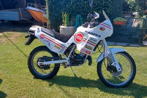 cagiva cocis