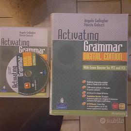 Activating Grammar Digital Edition
