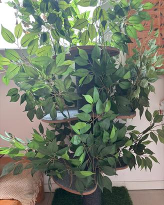 Albero con foglie per gatti