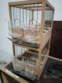 gabbie da gara canarini