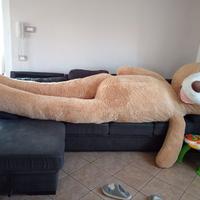 Peluche orso gigante