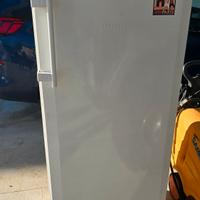 congelatore freezer verticale liebherr comfort