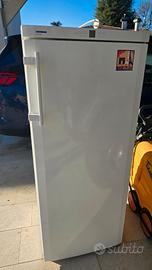 congelatore freezer verticale liebherr comfort