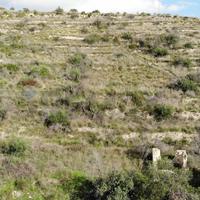 Terreno Edificabile - Avola