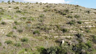 Terreno Edificabile - Avola