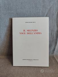 libro di Remo Bessero