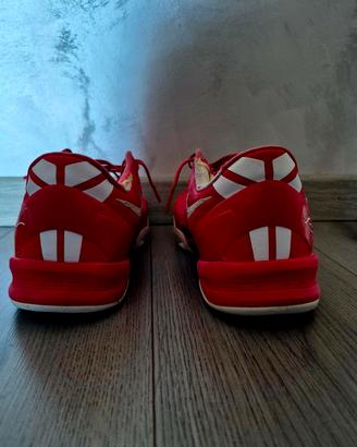 Kobe 8 protro university red 2024