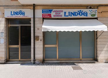 Storica attività di toelettatura a civitanova