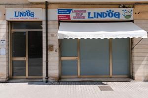 Storica attività di toelettatura a civitanova