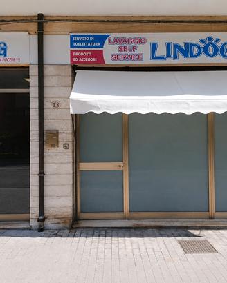 Storica attività di toelettatura a civitanova