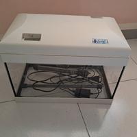 acquario 20 litri 