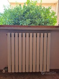 Termosifoni in ghisa 