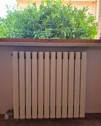 Termosifoni in ghisa 