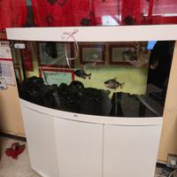 Acquario Vision 260 a led