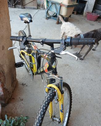  mtb ragazzo