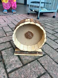 ruota per roditori