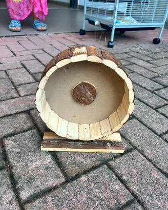 ruota per roditori