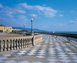Locale fronte mare viale italia