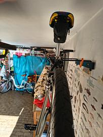 bicicletta vintage 