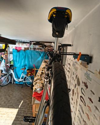 bicicletta vintage 