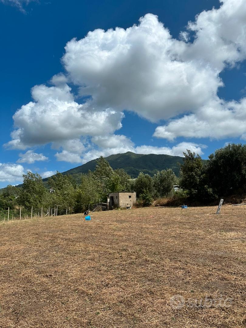Terreno agricolo - Pollena Trocchia - Altro