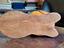 Immagine 6