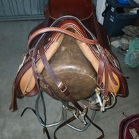 sella per cavallo Trainer