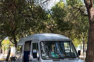 Van mercedes 207d