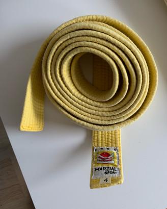 Cinture arti marziali