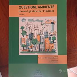 Questione ambiente Itinerari giuridici per l'impre