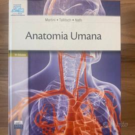 Anatomia umana