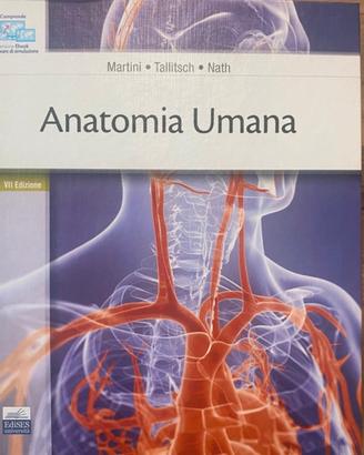 Anatomia umana