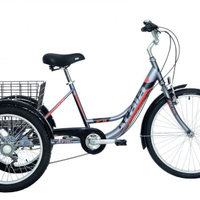 Triciclo Atala Cargo Grigio/Arancio-Risparmi 400€!