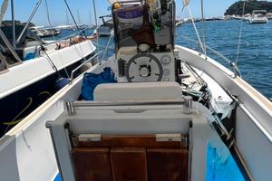 Prendisole Fiart marea 20 + Suzuki 40 cv 4 tempi