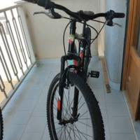 bicicletta
