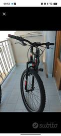bicicletta