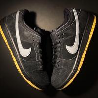 Nike Dunk SB Pro "fog" n.45
