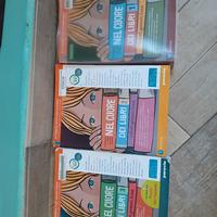 libri Scolastici Scuola Media Italiano 